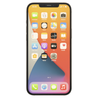 iPhone 12 Pro Max (A2342/A2410/A2411/A2412)